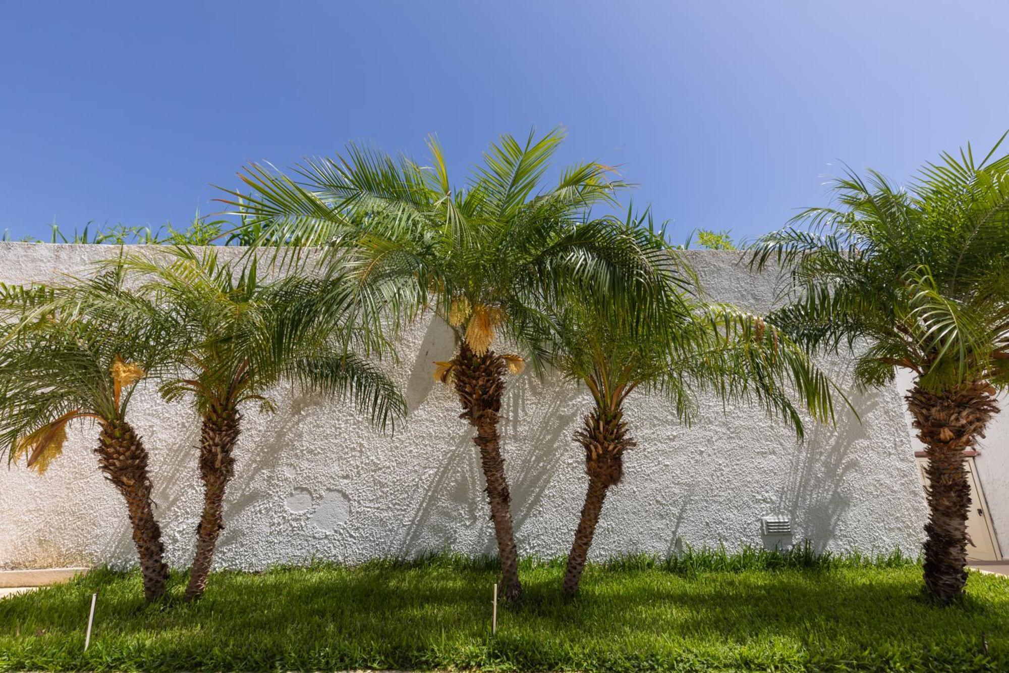 Villa Kore, Capo Vaticano Exterior foto